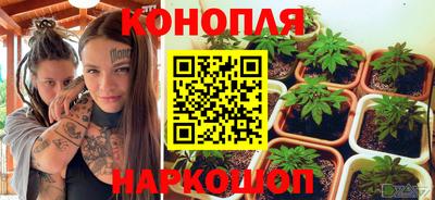 стаф Нарткала