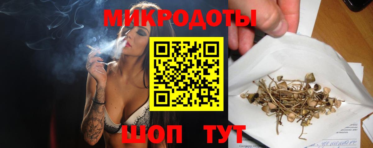 Псилоцибиновые грибы прущие грибы Ставрополь
